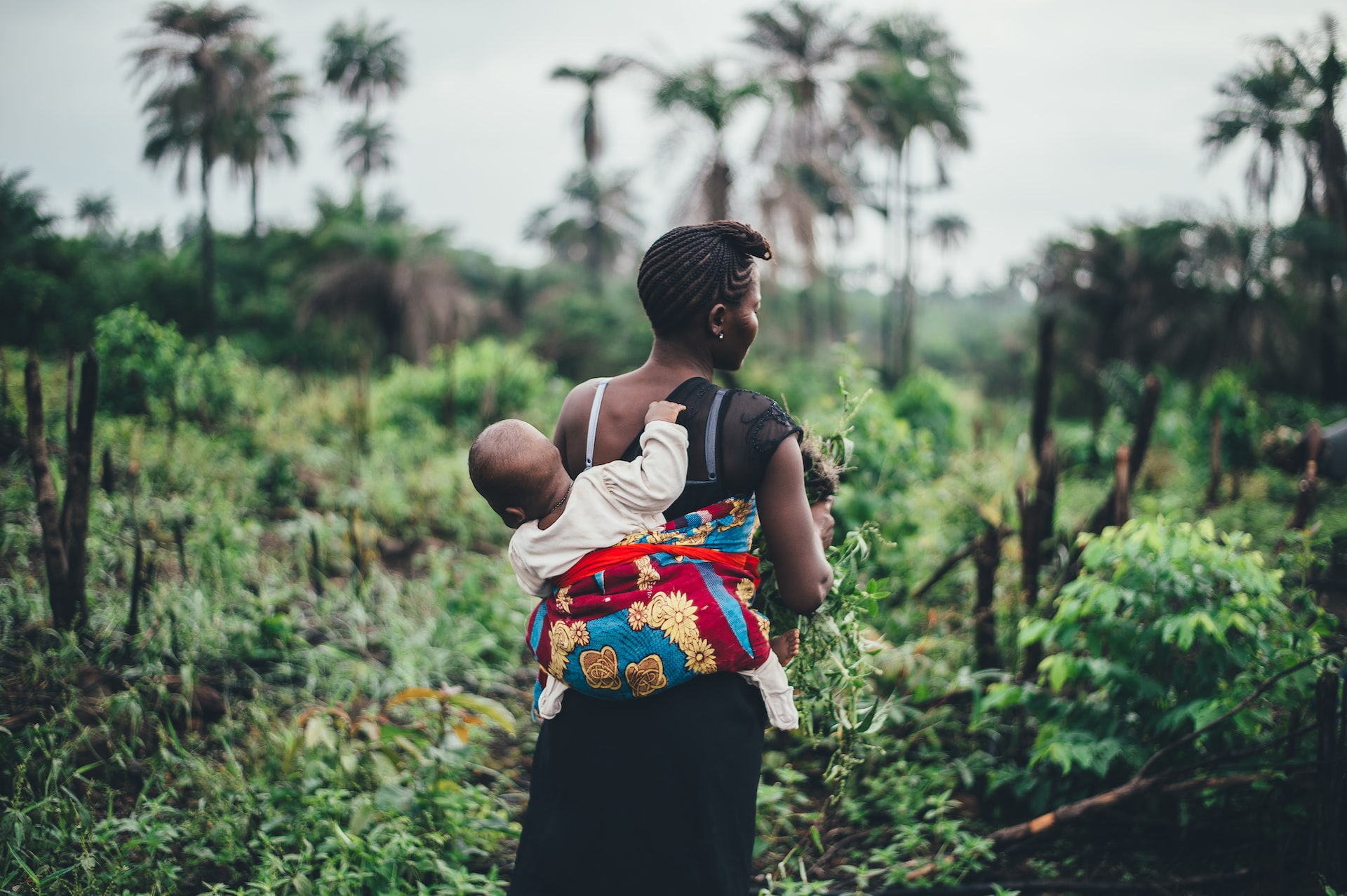 market woman microinsurance